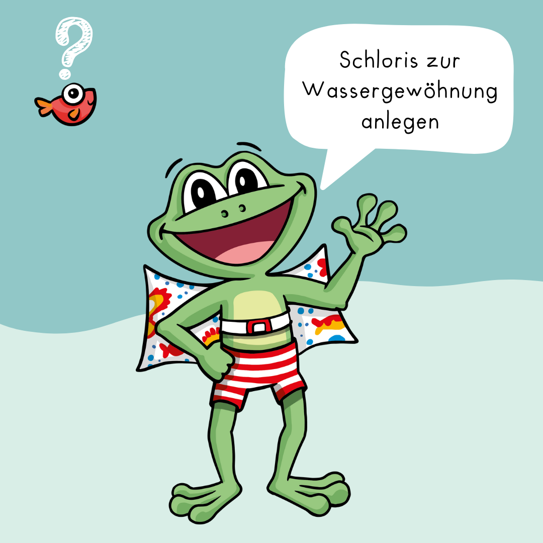 Original Schlori Schwimmkissen